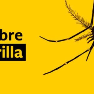 FiebreAmarilla en Ecuador: Prevención y cuidados esenciales