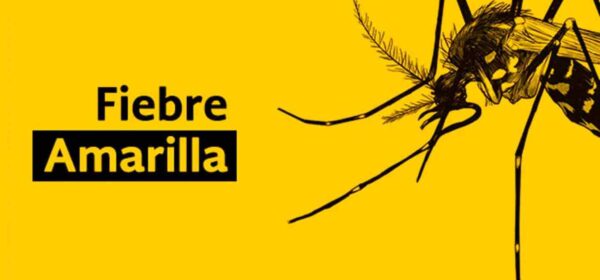 FiebreAmarilla en Ecuador: Prevención y cuidados esenciales